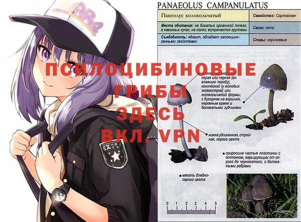 Альфа ПВП Елабуга
