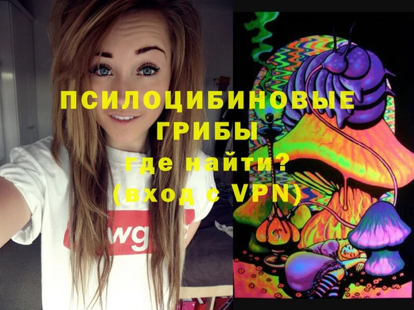 Альфа ПВП Елабуга